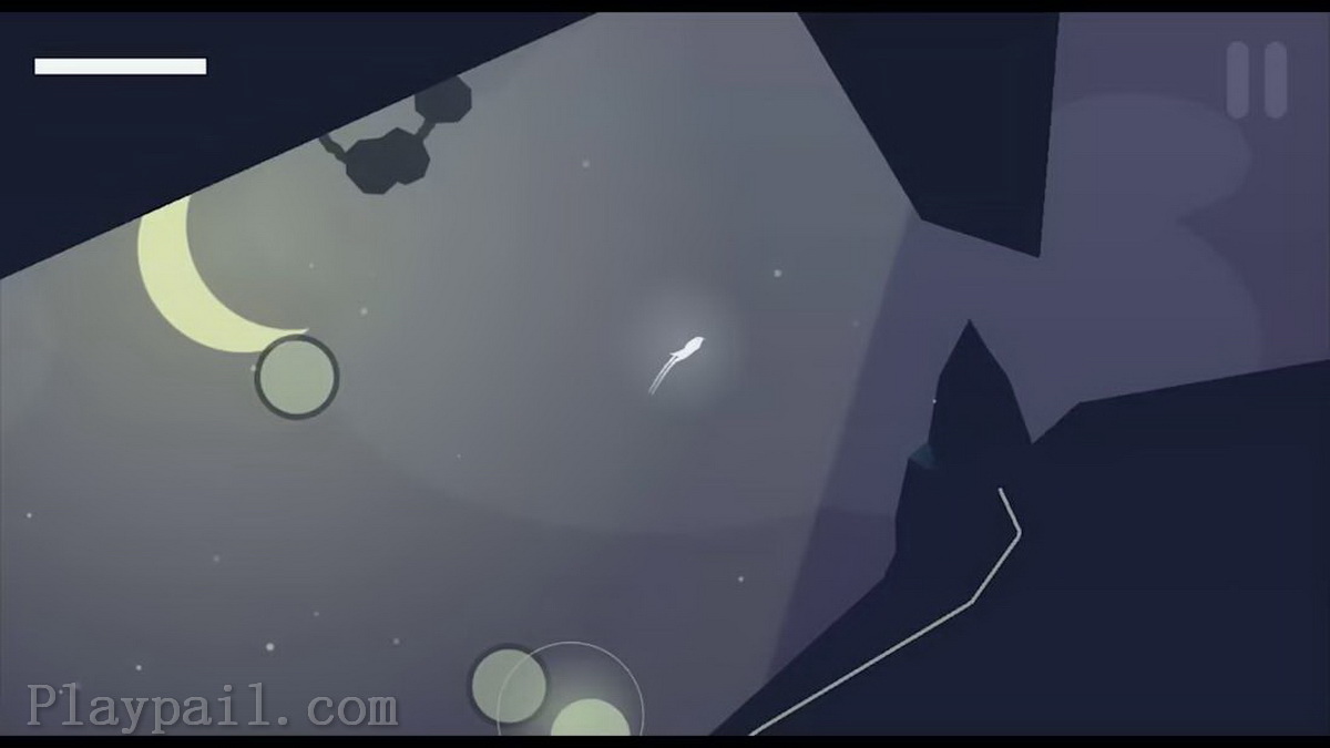 米拉：一只鸟的飞行.Mira: A Bird’s Flight_2