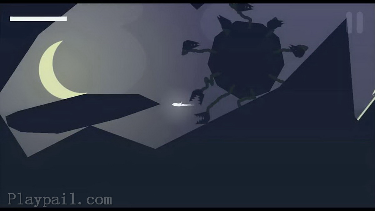 米拉：一只鸟的飞行.Mira: A Bird’s Flight_4