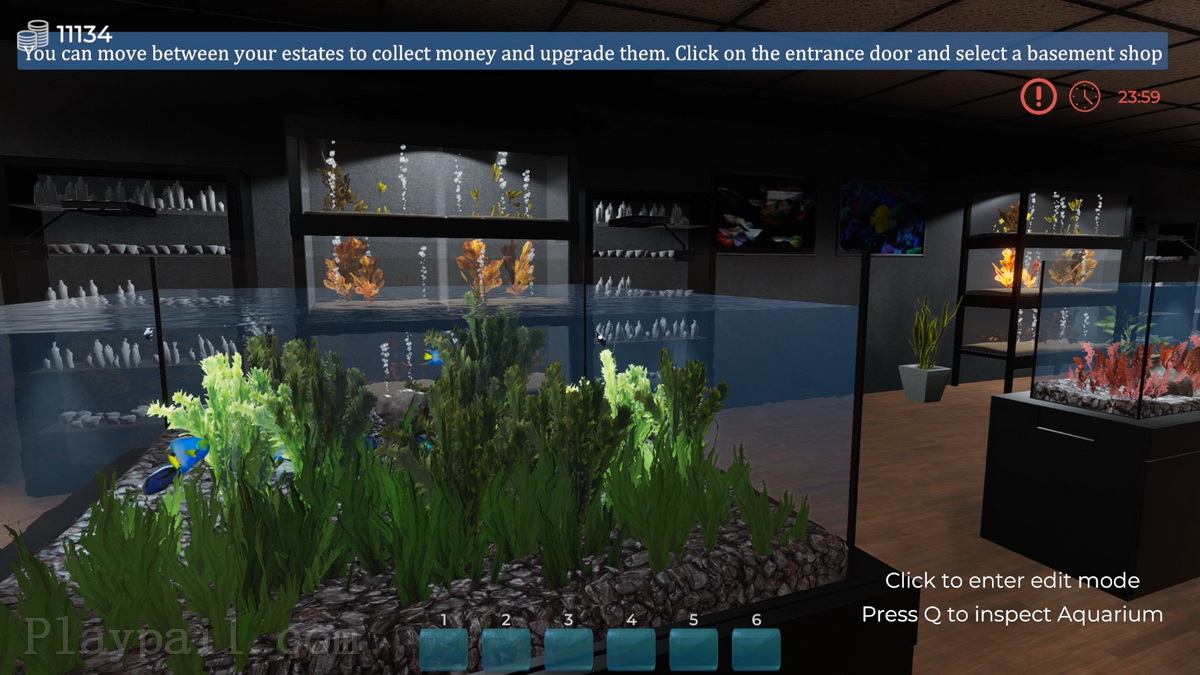 Aquarist – 建造水族馆，养鱼，发展你的事业！_0