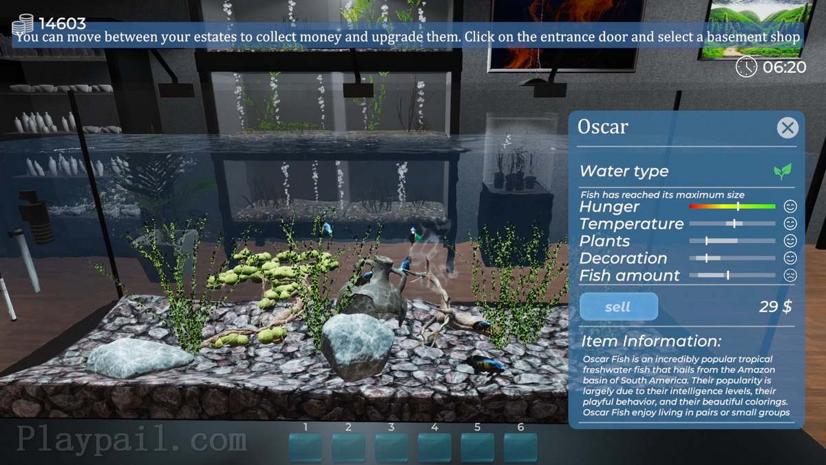 Aquarist – 建造水族馆，养鱼，发展你的事业！_2