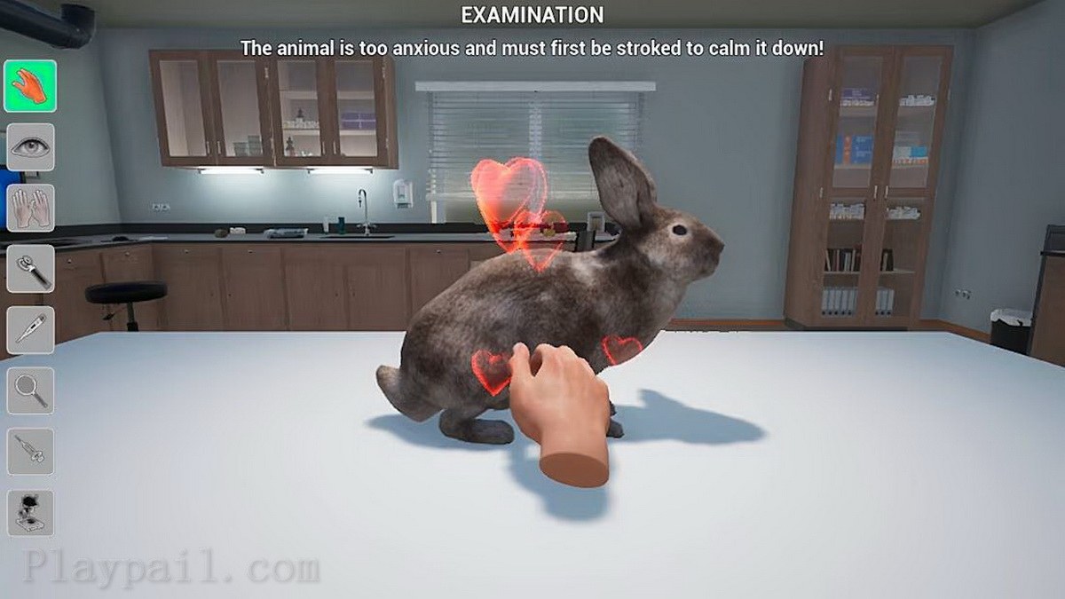 我的生活：宠物兽医.My Life: Pet Vet_1