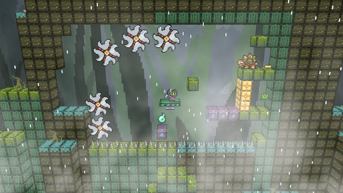 一只青蛙的任务.A Frog’s Job_0