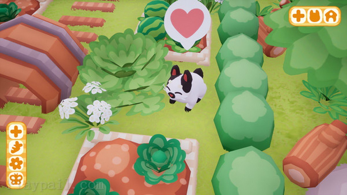 兔子公园.Bunny Park_3