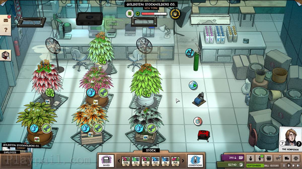 大麻公司.Weedcraft Inc_3