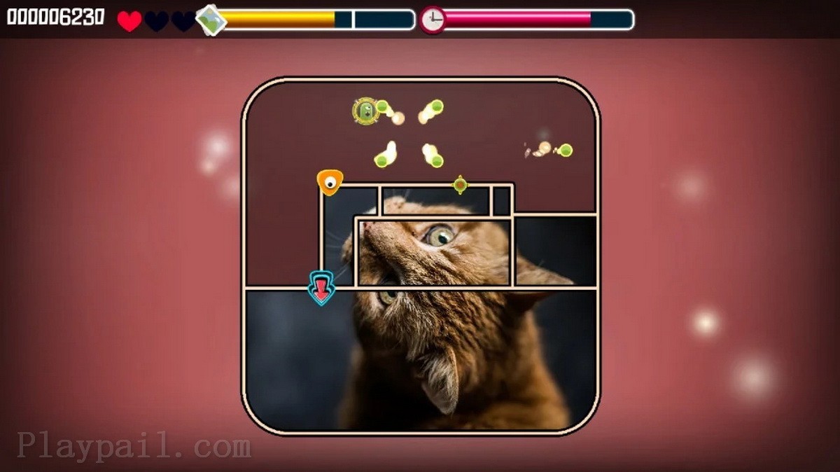 动物拼图：猫.Animal Puzzle Cats_0