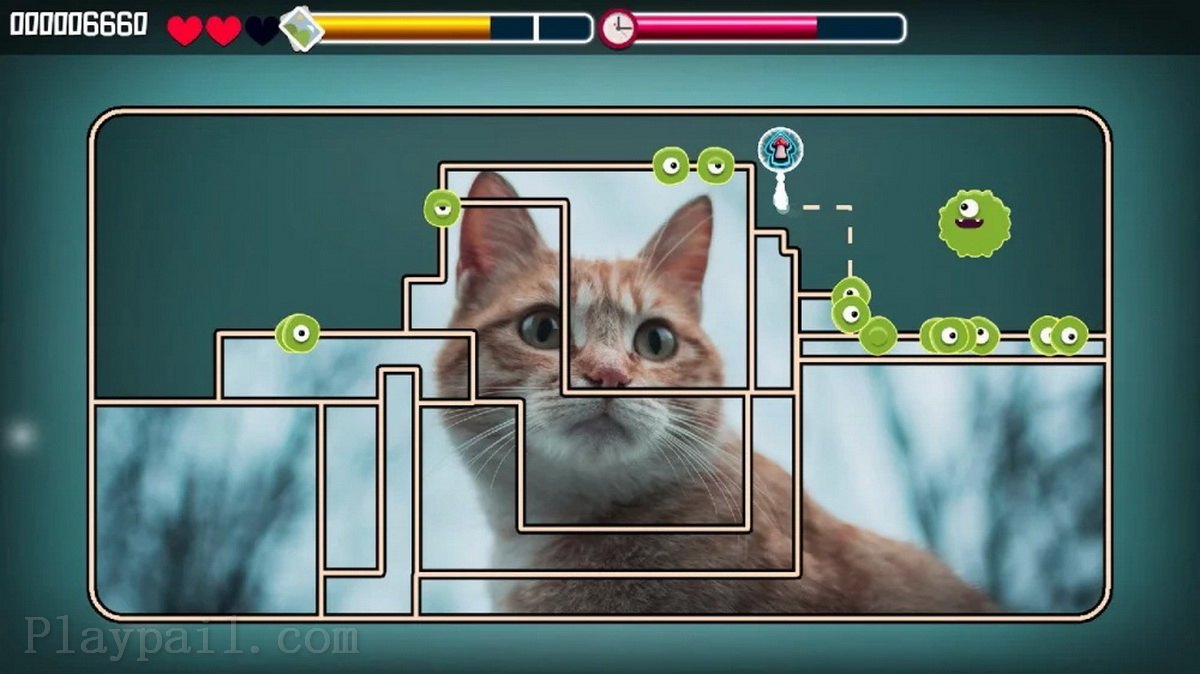 动物拼图：猫.Animal Puzzle Cats_1