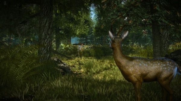巫师2：国王刺客 – 加强版.The Witcher 2: Assassins of Kings Enhanced Edition_1