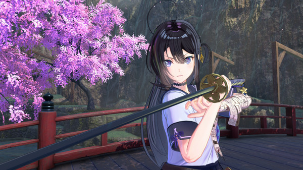 武士少女：豪华版.Samurai Maiden: Deluxe Edition_0