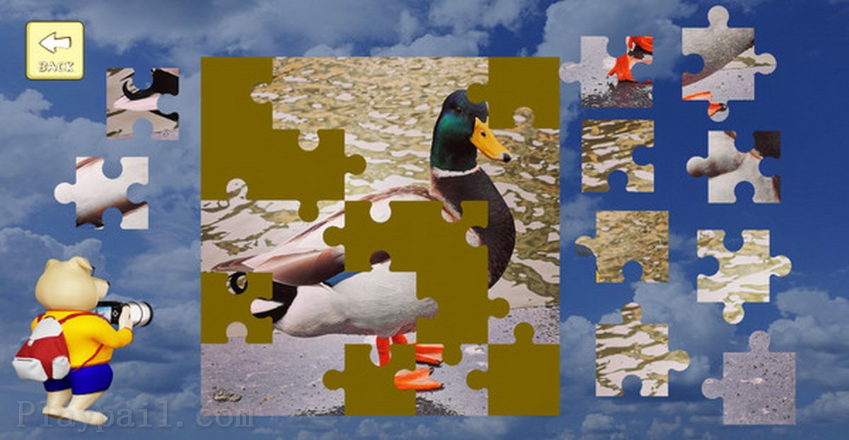 拼图：镜头下的比利时.Jigsaw Puzzle Belgium Through The Lens_1