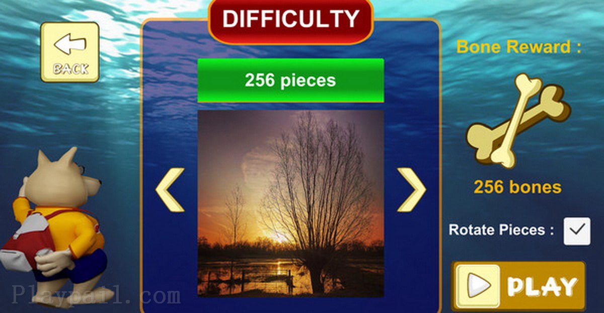 拼图：镜头下的比利时.Jigsaw Puzzle Belgium Through The Lens_4