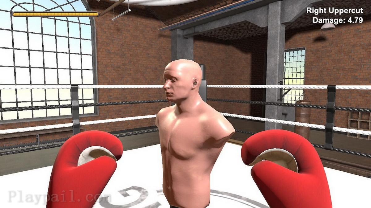 拳击手.Boxer_5