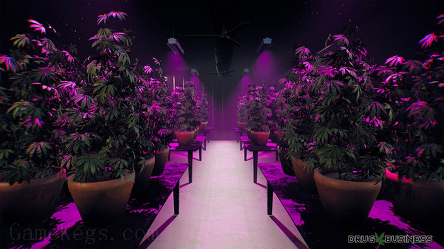 Drug Business_4
