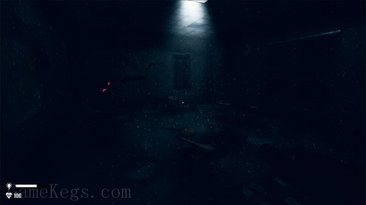 精神病院：邪恶之子.Mental Hospital: Child of Evil_2
