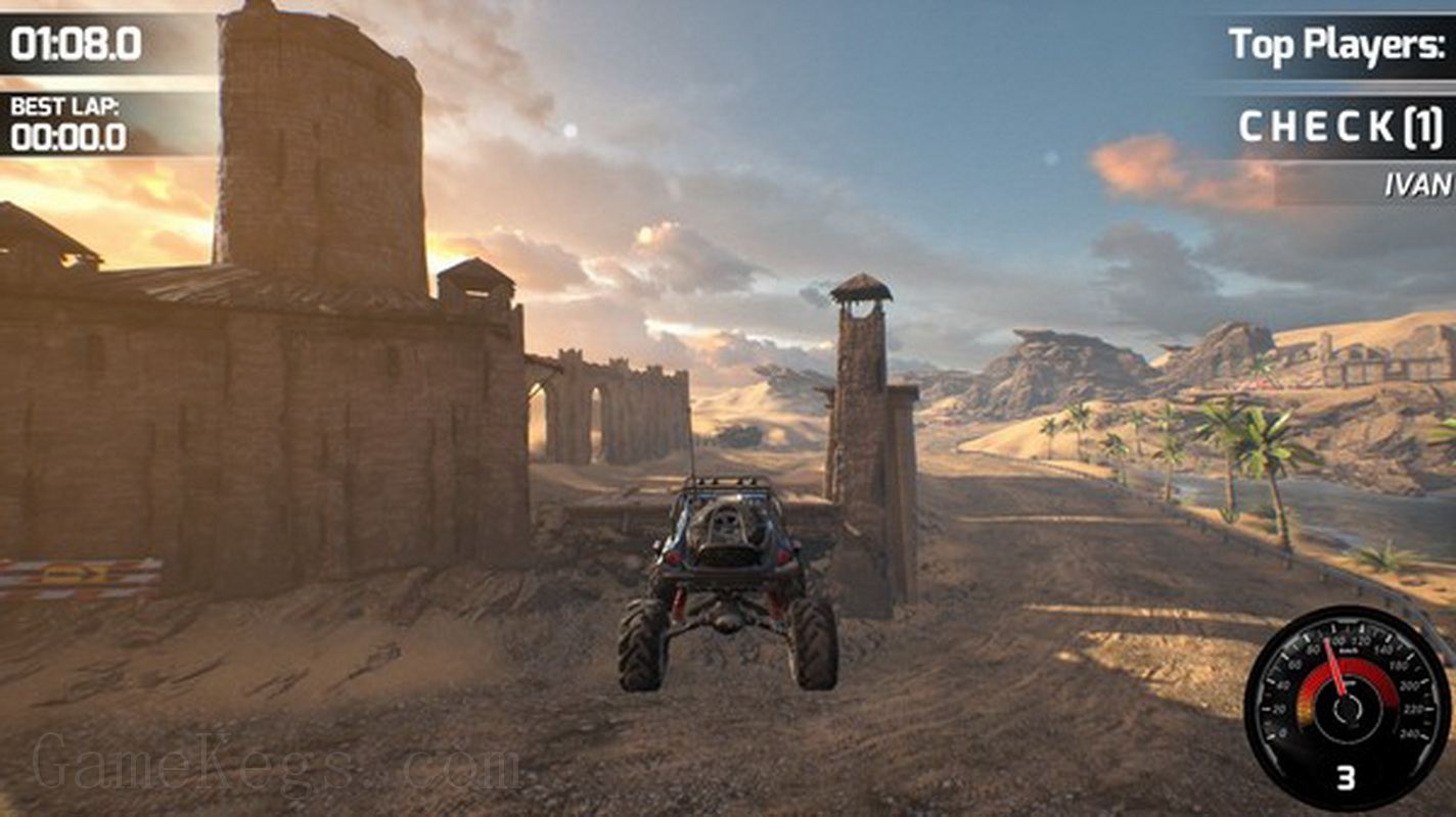 Race Beauty Bugs_5