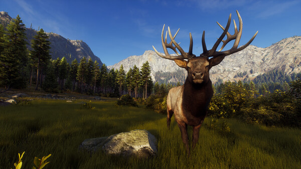 猎人之路：精英版.Way of the Hunter Elite Edition_0