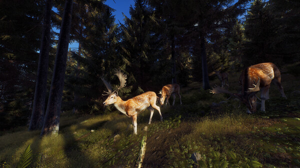 猎人之路：精英版.Way of the Hunter Elite Edition_1