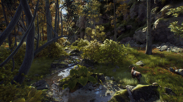 猎人之路：精英版.Way of the Hunter Elite Edition_5
