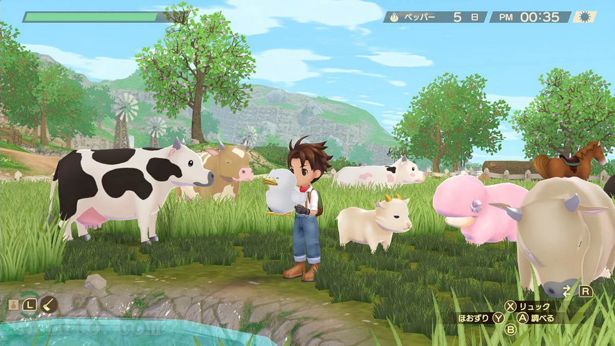 牧场物语 Welcome！美丽人生.Harvest Moon Welcome! Wonderful Life_1