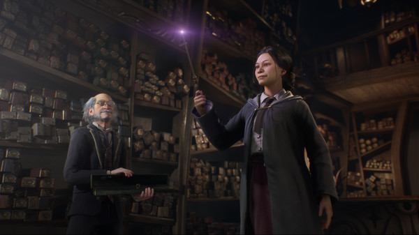 霍格沃茨之遗.Hogwarts Legacy_2
