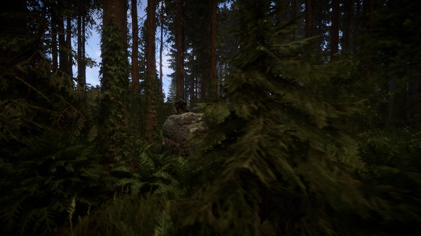 森林之子.Sons Of The Forest_3