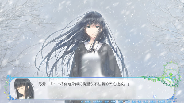 Flowers（花）- 冬篇 -.Flowers -Le volume sur hiver-_5