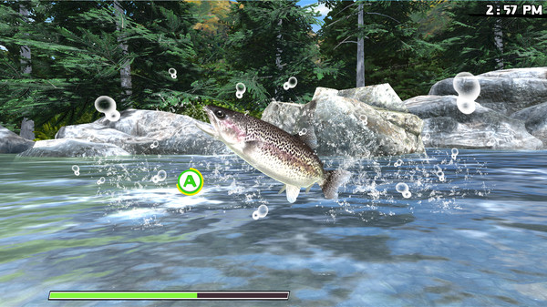 户外钓鱼：公路旅行冒险.Reel Fishing: Road Trip Adventure_5