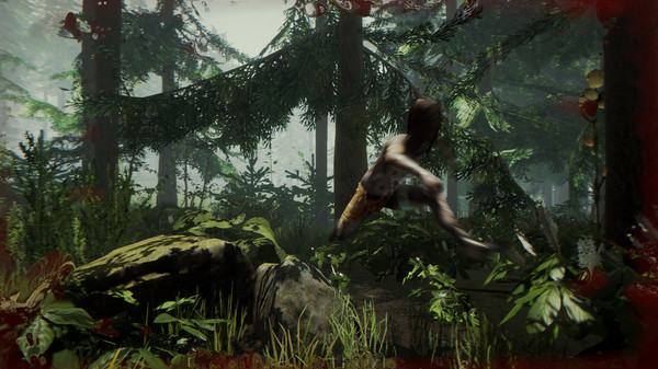 森林.The Forest_1