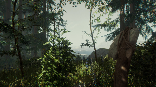 森林.The Forest_3