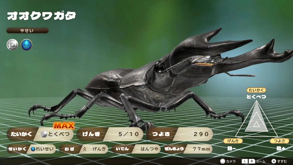 Kabuto Kuwagata_5
