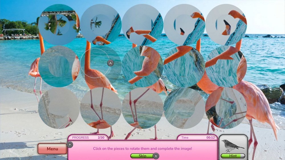 我热衷于找鸟：收藏版.I Love Finding Birds Collector’s Edition_0