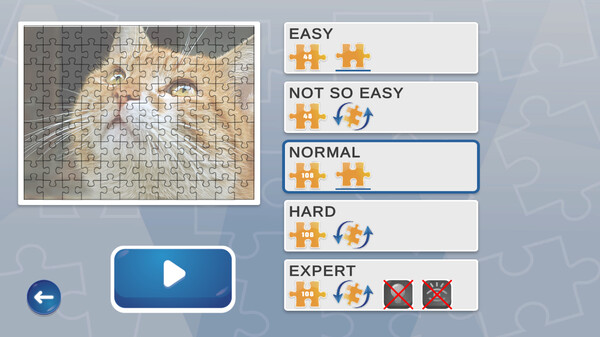 狂热拼图.Jigsaw Puzzle Fever_0