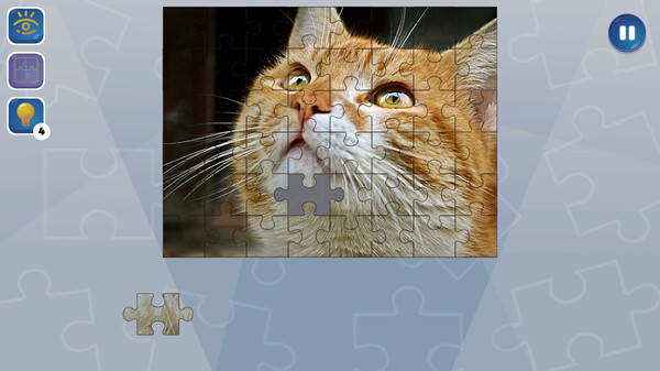 狂热拼图.Jigsaw Puzzle Fever_1