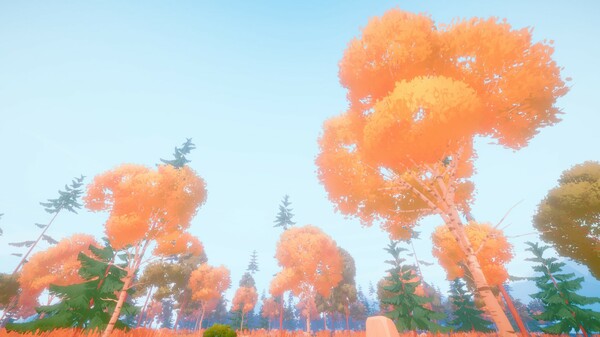 林地远足.Woodland Hike_4