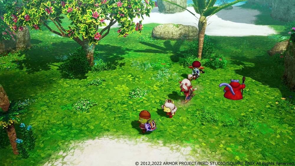 勇者斗恶龙X：觉醒的五种族 – 离线版.Dragon Quest X Offline_1