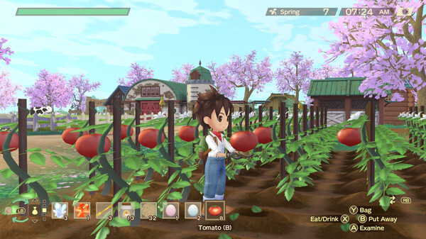 牧场物语 Welcome！美丽人生.Story of Seasons: A Wonderful Life_5