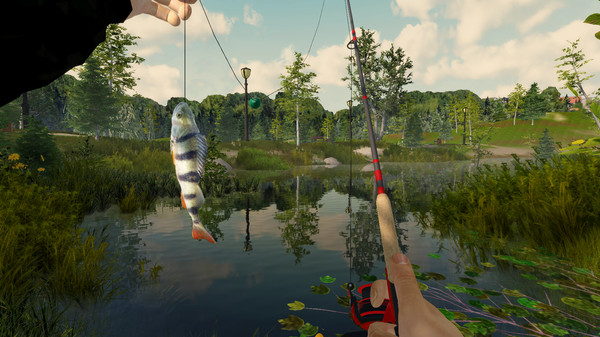 钓鱼历险.Fishing Adventure_2