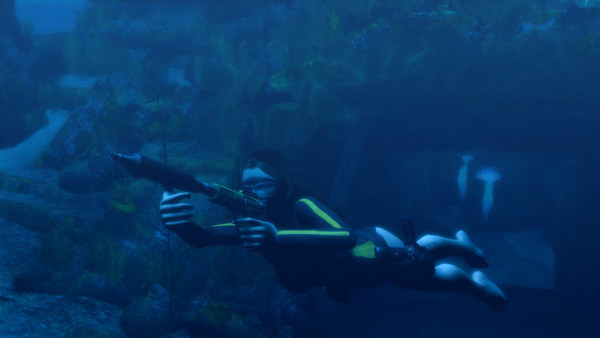 古墓丽影8：地下世界.Tomb Raider: Underworld_0
