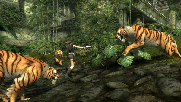 古墓丽影8：地下世界.Tomb Raider: Underworld_3