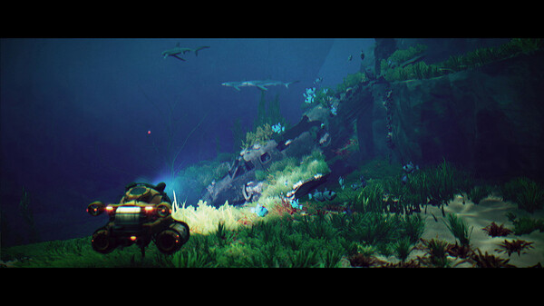 碧波之下.Under The Waves_3