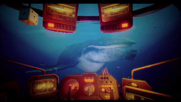 碧波之下.Under The Waves_5