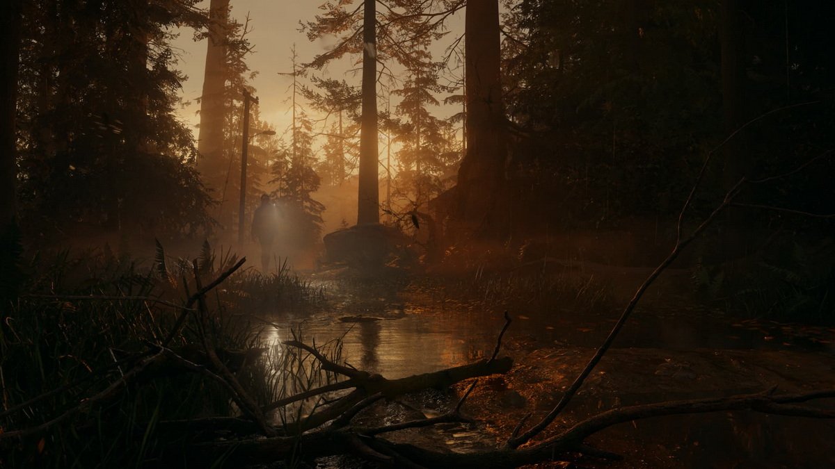 心灵杀手2：豪华版.Alan Wake II Deluxe Edition_4
