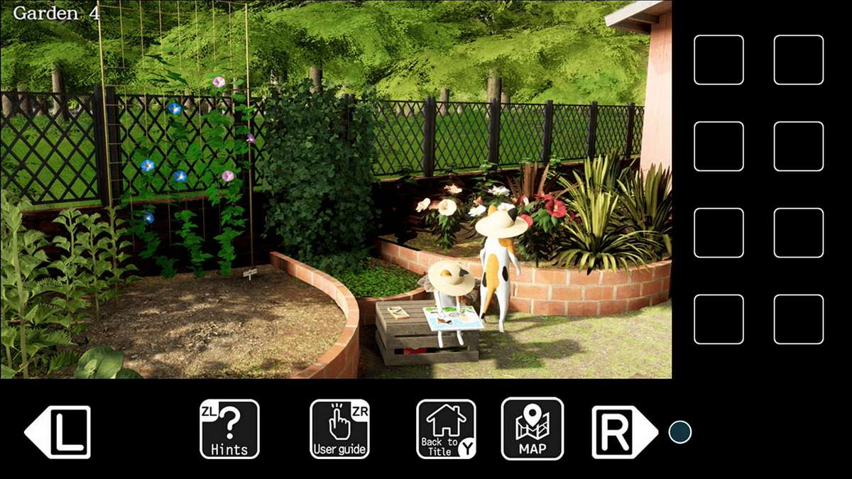 诱捕花园里的小猫.The Kitty in the Trapping Garden_1