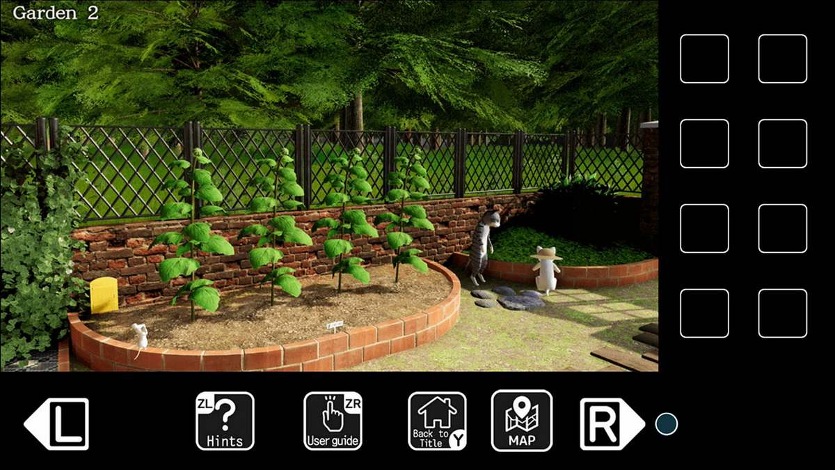 诱捕花园里的小猫.The Kitty in the Trapping Garden_4