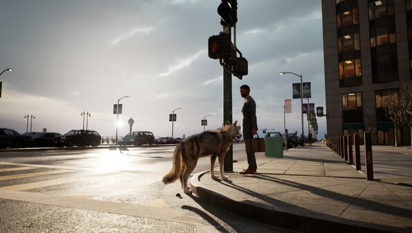 城中之狼.Wolf in the City_0