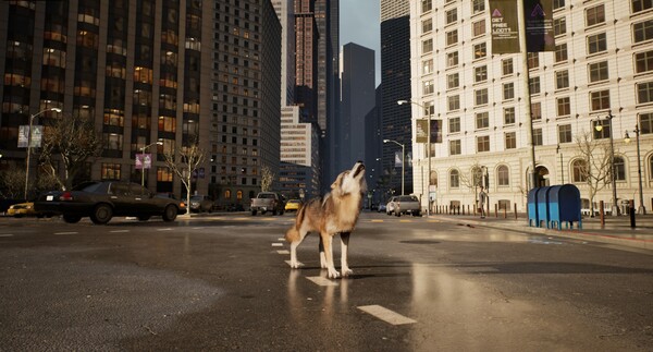 城中之狼.Wolf in the City_1