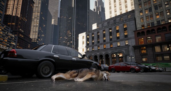 城中之狼.Wolf in the City_2