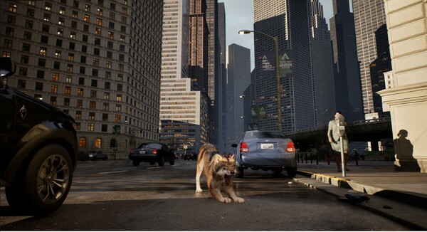 城中之狼.Wolf in the City_3
