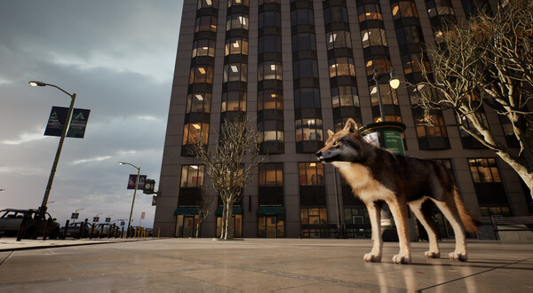 城中之狼.Wolf in the City_4