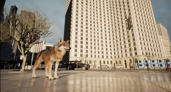 城中之狼.Wolf in the City_5