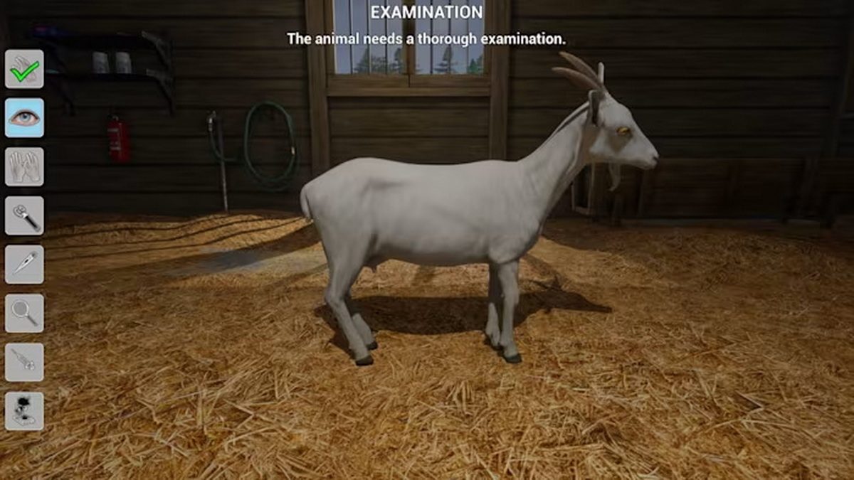 My Life: Farm Vet_1
